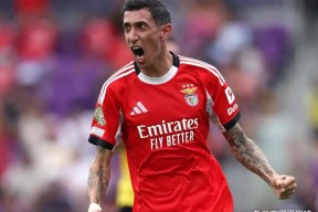 西甲赛程吃紧，本菲卡赛前遗憾出局，底气十足，训练强度明显提升的简单介绍-开云娱乐平台